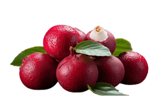 Quandong Naturally Speaking-